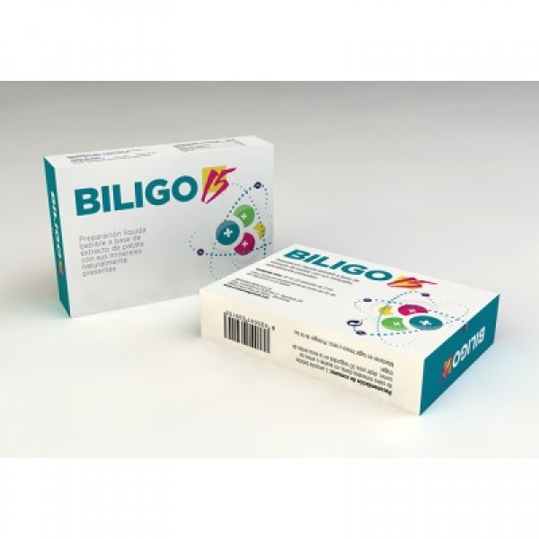 Biligo-15